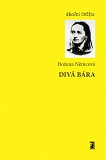 eKniha -  Divá Bára
