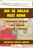 eKniha -  Jak se kalila Kozí Noha