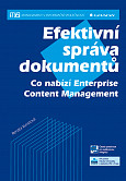 eKniha -  Efektivní správa dokumentů: Co nabízí Enterprise Content Management